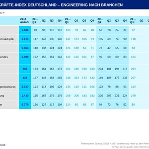 (Hays 2021 / index Internet und Mediaforschung GmbH)