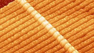 Der erste Memristor-Schaltkreis aus dem Jahr 2008 im Rasterkraftmikroskop. Zu erkennen sind 17 Memristoren, die aus jeweils zwei miteinander verbundenen Titandioxid-Schichten bestehen. (Archiv: Vogel Business Media)