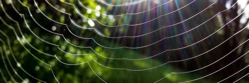 Digitalisierung kann ein Wegbereiter und Beschleuniger für die Erreichung von Nachhaltigkeitszielen sein. Digitalisierung kann ein Wegbereiter und Beschleuniger für die Erreichung von Nachhaltigkeitszielen sein.