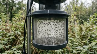 Mückenfalle im Waldeinsatz (Bild: RETSCH / KI-generiert)