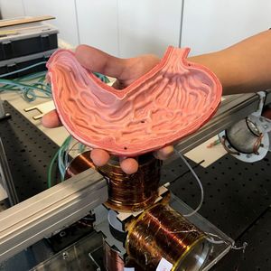 (Max Planck Institute for Intelligent Systems)