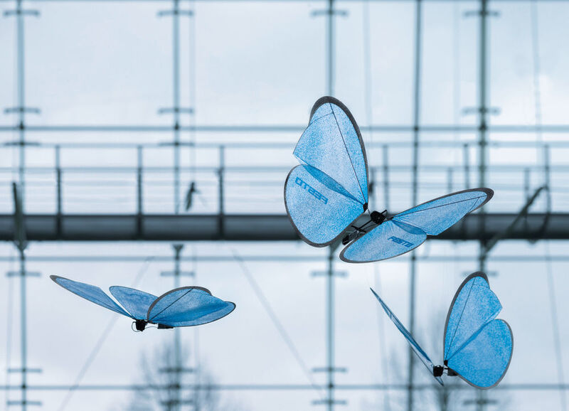 Mit den eMotionButterflies kombiniert Festo nun den Ultraleichtbau künstlicher Insekten mit dem koordinierten Flugverhalten im Kollektiv. (Festo)