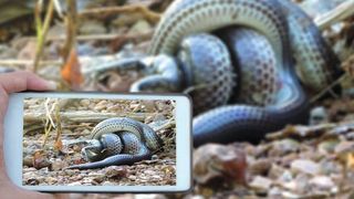 Potenziale der Haptik: Virtuelle und sichere Berührung mit haptischer Technologie. (Shutterstock)