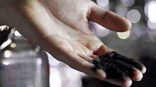 Einsammeln und zerstören – das ist die Aufgabe von Carbo-Iron, einer kohlenstaubfeinen Substanz, die am UFZ entwickelt wurde, um Grundwasser zu reinigen. (Bild: André Künzelmann/UFZ)