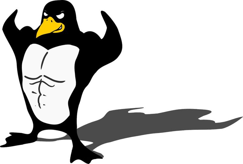 Es gibt für Linux-Verfechter noch immer Welten zu erobern. 