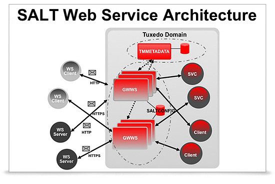Abbildung 5: Oracle Services Architecture Leveraging Tuxedo erlaubt einen Web Services basierten Zugriff von und zu Tuxedo Applikationen. (Bild: Oracle)