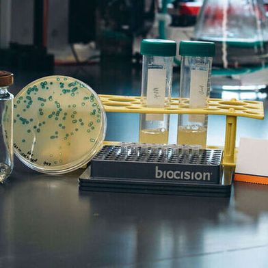 E. coli cultures and other experimental materials used in the study, shown with a 3D-printed model of the engineered phage (extreme left). (Source: National University of Singapore )