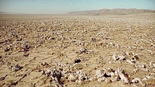 In der Atacama Wüste sieht es ähnlich aus wie auf dem Mars. Auch einige Bedingungen gleichen sich, hier sieht man Salzablagerungen von Perchloraten auf den Gesteinsbrocken. In der Atacama Wüste sieht es ähnlich aus wie auf dem Mars. Auch einige Bedingungen gleichen sich, hier sieht man Salzablagerungen von Perchloraten auf den Gesteinsbrocken.
