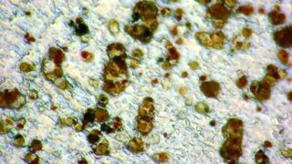 Abb. 1: Sammelprobe von Partikeln auf einem Aluminiumsubstrat (links) und Ausschnittsvergrößerung (rechts).  (Bild: Fraunhofer ILT)