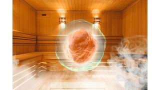 Abb.1: Auch Zellen wollen umsorgt werden. In Inkubatoren bekommen sie sozusagen das Pendant zu einer Wellness-Behandlung: eine ideale Wohlfühl-Kombi aus Temperatur, Feuchtigkeit Licht usw. (Bild: © timofeev, vipman4 - stock.adobe.com; [M]VCG)