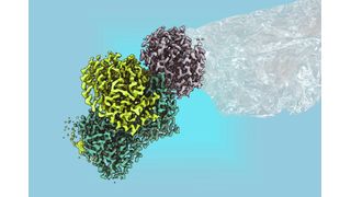 Mithilfe eines bakteriellen Enzyms könnte man Monomere für Kunststoffe in Zukunft nachhaltig erzeugen, haben Forscher am Max-Planck-Institut für terrestrische Mikrobiologie jetzt herausgefunden. Das war zwar gar nicht so einfach, liefert aber noch andere Erkenntnisse ... (Bild: Max-Planck-Institut / Dr. V. Geisel)