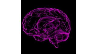 Scientists from Brigham and Women’s Hospital have integrated multiple therapeutic approaches to more effectively target melanoma in the brain.  (Source: Pixabay)