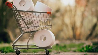 In Deutschland herrschte 2021 wieder Normalität – zumindest was die häufigsten Suchanfragen bei Google betraf. (Bild: gemeinfrei © Alexas_Fotos)