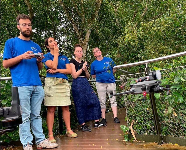 Im Masoala-Regenwald können die Forscher das Navigieren der Drohne üben. (Bild: Dominik Ryser, Zoo Zürich)
