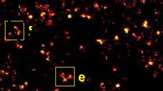 Mit Fluoreszenz-Farbstoffen markierte 2B-Histone im Kern einer lebenden Zelle: Oben ein Ausschnitt aus einer superaufgelösten Aufnahme, erstellt aus 10 000 Einzelaufnahmen mit der Methode dSTORM ... (Bilder: Arbeitsgruppe Markus Sauer, Biozentrum Uni Würzburg) (Archiv: Vogel Business Media)