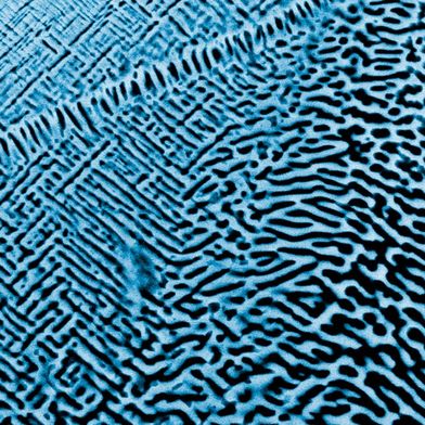 Aufnahme der Nanostruktur einer Legierung aus Aluminium, Molybdän, Niob, Tantal, Titan, Zirkon mit dem Rasterelektronenmikroskop. Das Material ist besonders für katalytische Prozesse geeignet. (Bild: BAM)