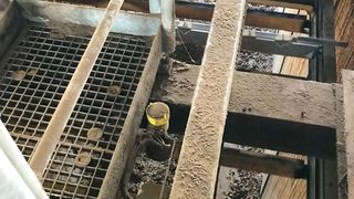 Schmutz und Staub? Auch unter rauen Umgebungsbedingungen liefert der Vegapuls 69 zuverlässige Messwerte. (Vega)