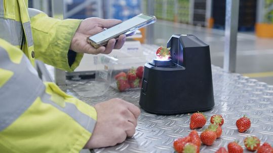 Smarte Entscheidungen entlang der Lieferkette: Lebensmittelhändler können mithilfe der Onethird-Technologie beispielsweise Erdbeeren, die kurz vor dem Verfallsdatum stehen, rabattieren, um sie schneller abzuverkaufen. Smarte Entscheidungen entlang der Lieferkette: Lebensmittelhändler können mithilfe der Onethird-Technologie beispielsweise Erdbeeren, die kurz vor dem Verfallsdatum stehen, rabattieren, um sie schneller abzuverkaufen.
