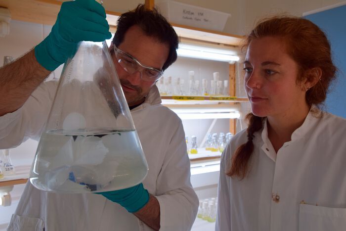 Maaike Goudriaan and research leader Helge Niemann in the lab (Source: Maaike Goudriaan, Nioz)