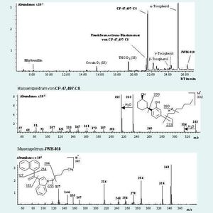 2 GC-MS eines Spice-Extraktes nach Zugabe deuterierter Standards (Cocain-D3 und THC-D3) und Massenspektren der zunächst nicht identifizierbaren Hauptwirkstoffe.