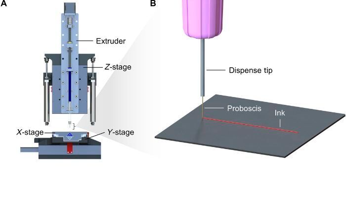 Konzept und Konfiguration des nekrologischen 3D-Drucks. (Bild: Scientific Advances)