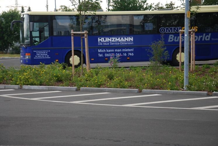 Zur Not hält Kunzmann aber auch einen Leihbus bereit. (Wenz)