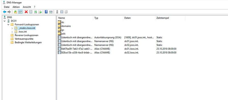 DNS-Verwaltung in Windows Server 2016. (Microsoft / Joos)