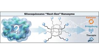 Nanozyme ahmen Eigenschaften von natürlichen Enzymen nach. Sie könnten die Katalyse nachhaltiger gestalten und Wirkstoffvorstufen in Zellen aktivieren.  (Bild:  Schematische Darstellung von Silsesquioxanen als Nanozyme für Katalyse, Bildgebung und Therapie. Pierre Picchetti, KIT )