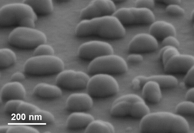 Die Silber-Nanoteilchen sind unregelmäßig geformt und zufällig auf der Oberfläche verteilt, zeigt diese Raster-Elektronenmikroskopie-Aufnahme. (Bild: HZB)