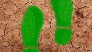 Welchen (Material)Fußabdruck wir auf dem Planeten hinterlassen, hängt von unserem Ressourcenverbrauch ab (Symbolbild). (Pixabay/ PublicDomainPictures, ElisaRiva)