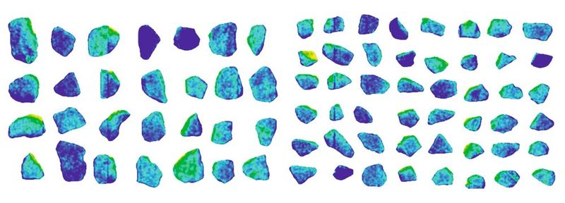 XRT-Bildaufnahmen von SAG-Mühlen-Pebbles (links: grob, rechts: fein) (Bild: SRK Consulting)