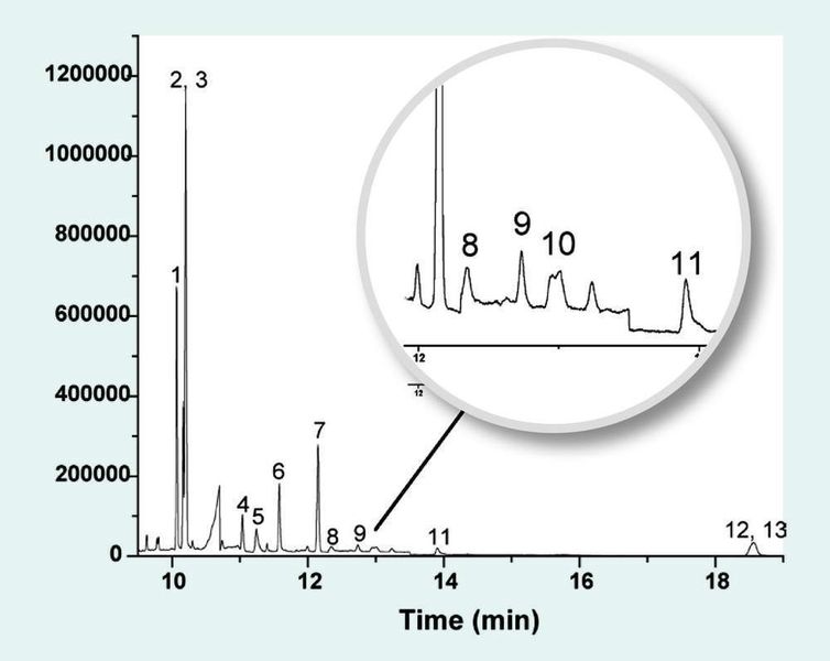 4	 TIC von 0,2 ppm Benzodiazepinen in 0,2 mL Urin nach enzymatischer Hydrolyse und DPX. (Archiv: Vogel Business Media)