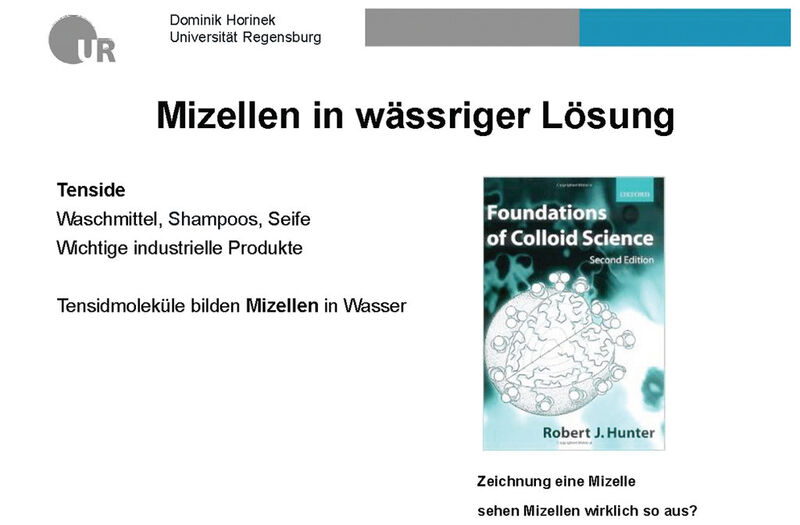 Abbildung 13: Bis vor kurzem wusste man nicht, wie Mizellen tatsächlich aussehen. (Bild: Universität Regensburg)