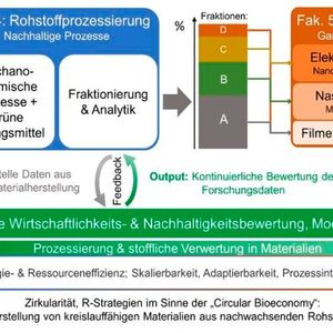 Durch die interdisziplinäre Zusammenarbeit der Nachwuchsforschenden aus drei Fakultäten (Maschinenbau, Verfahrens- und Energietechnik (Fakultät 4), Werkstoffwissenschaft und Werkstofftechnologie (Fakultät 5), sowie Wirtschaftswissenschaften (Fakultät 6)) werden technische Verwertungsansätze mit systemischer Nachhaltigkeits- und Marktanalyse kombiniert.(Bild:  TU Freiberg)