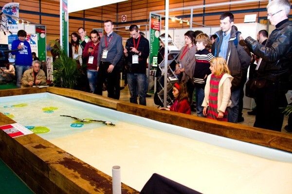 Der Robo-Salamander kriecht und schwimmt und kann seine äußere Form sehr schnell verändern (Bild: Kostas Karakasiliotis, Biorobotics Laboratory, EPFL)