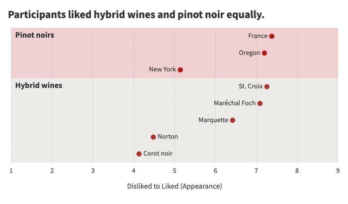 Participants liked hybrid wines and pinot noir equally (Source: Laila Milevski/ Cornell University)