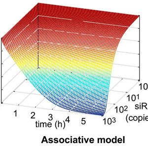 (Bild: Universität zu Lübeck)