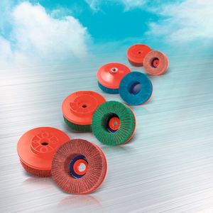 Entgratteller (zum Beispiel passend für Lissmac-Buetfering, Gecam, Loewer, Löser, Niederberger, RWT, Vangroenweghe).(Bild:  Ernst Schweiz)