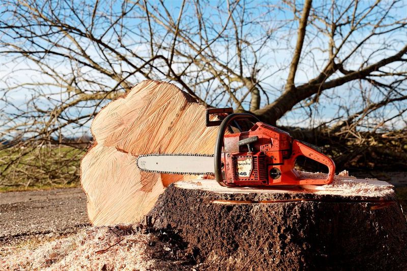 Der Ingenieur Andreas Stihl meldete 1954 die „Motorleichtkettensäge mit schwertartiger Führungsschiene“ an – die erste Kettensäge, die mit ihren 11 kg damals als Leichtgewicht galt und von nur einem Arbeiter bedient werden konnte. Die patentierte räumliche Trennung von Schwungrad und Ventilator bewirkt eine ergonomisch günstige Gewichtsverteilung und vereinfachte die Konstruktion. Die von ihm gegründete Firma Stihl ist bis heute weltweit für ihre Sägen bekannt. (Bild: gemeinfrei)