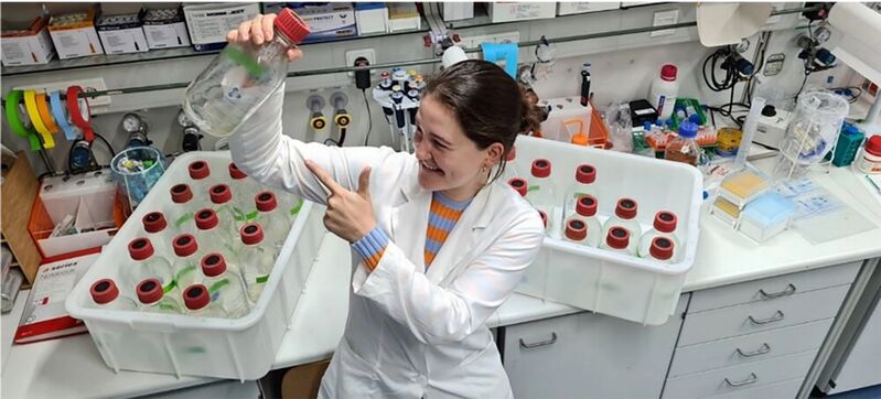 Nevena Maslać im Labor mit Batch-Kulturen von Methanothermococcus thermolithotrophicus, die es ermöglichen, verschiedene Wachstumsbedingungen ganz ohne Sauerstoff genau zu testen. 