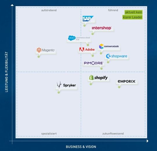 B2B-Vendor-Matrix von Dotsource.(Bild:  Dotsource)