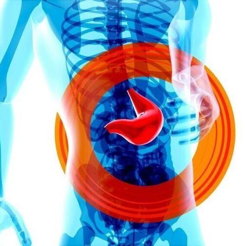 A team led by Prof. Dr. Bahtiyar Yilmaz from the Department for Visceral Surgery and Medicine at Inselspital, Bern University Hospital, and the DBMR at the University of Bern has now investigated what happens in the gut after a fecal microbiota transplant. (Source:  Unsplash)