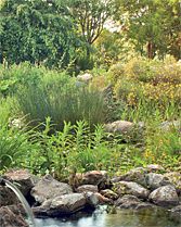 umweltorientierte-betriebsfuehrung-1 ()