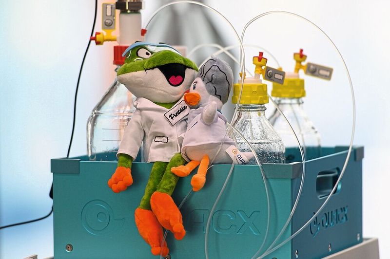 Auch Plüschtiere hatten einige Aussteller dabei, wie hier die Stoffmaskottchen von Software-Anbieter Quacx.     Mehr Infos zu den kommenden LAB-SUPPLY-Messen finden Sie auf www.lab-supply.info (Bild: Stefan Stark)