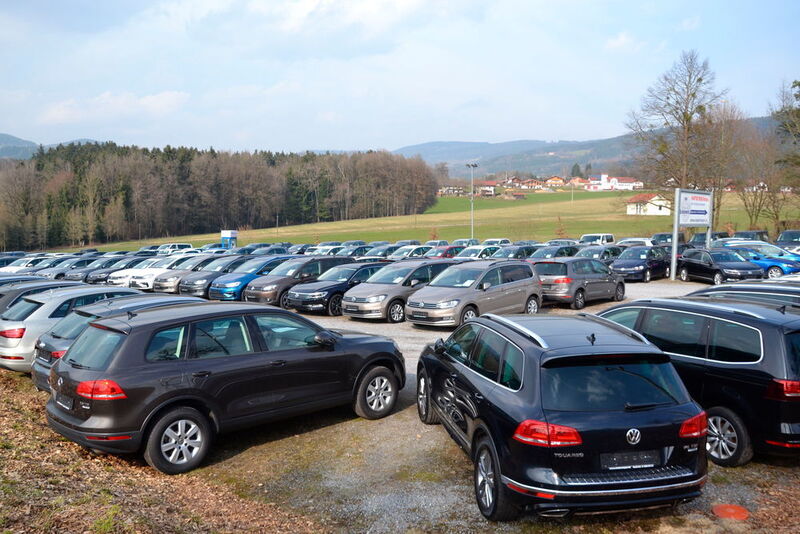 Da die Stellfläche am Betrieb nicht ausreicht, stehen die Gebrauchtwagen auch noch auf einem großen Gelände, das rund 300 Meter vom Betrieb entfernt ist. Ein Großteil der Fahrzeuge sind VW-Konzern-Marken.  (Mauritz)