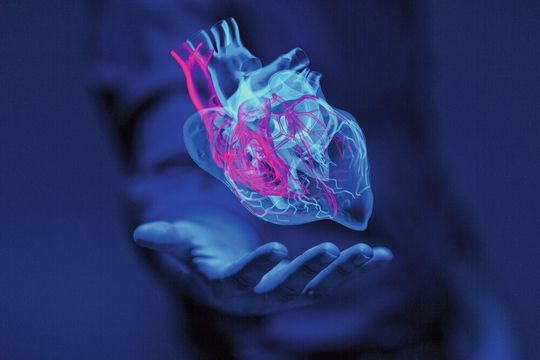 Wissenschaftler haben bisher unbekannte Mechanismen einer Herzkrankheit erforscht. Wissenschaftler haben bisher unbekannte Mechanismen einer Herzkrankheit erforscht.