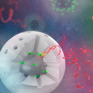 Visual of two variations of the catalyst, with a segment of the shell removed to show the interior. The white sphere represents the silica shell, the holes are the pores. The bright green spheres represent the catalytic sites, the ones on the left are much smaller than the ones on the right. The longer red strings represent the polymer chains, and the shorter strings are products after catalysis. All shorter strings are similar in size, representing the consistent selectivity across catalyst variations. Additionally, there are more smaller chains produced by the smaller catalyst sites because the reaction occurs more quickly. Visual of two variations of the catalyst, with a segment of the shell removed to show the interior. The white sphere represents the silica shell, the holes are the pores. The bright green spheres represent the catalytic sites, the ones on the left are much smaller than the ones on the right. The longer red strings represent the polymer chains, and the shorter strings are products after catalysis. All shorter strings are similar in size, representing the consistent selectivity across catalyst variations. Additionally, there are more smaller chains produced by the smaller catalyst sites because the reaction occurs more quickly.