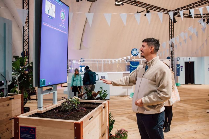 Was fühlen Pflanzen? Besucher teste Exponat. (Bild: David Biedert)