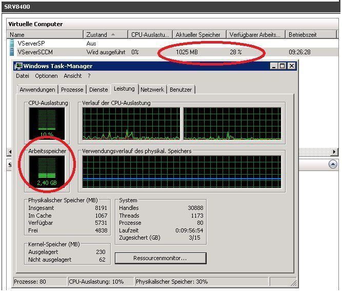 Auslastung des Hosts, der von dem Speichersegen des Gasts nichts mitbekommt. Hier würde man sich wünschen, dass in der Verwaltungskonsole mehr Informationen zum Zustand des Gasts dokumentiert wären. Dem Test liegt eine Windows Server 2008 R2 BETA zu Grunde. (Archiv: Vogel Business Media)