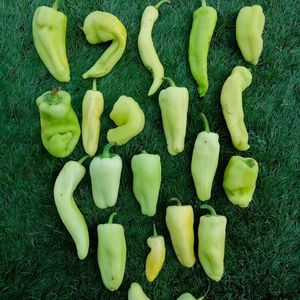 The most complete genetic map of peppers cultivated in Spain has been created by Valencia’s Polytechnic University (UPV).